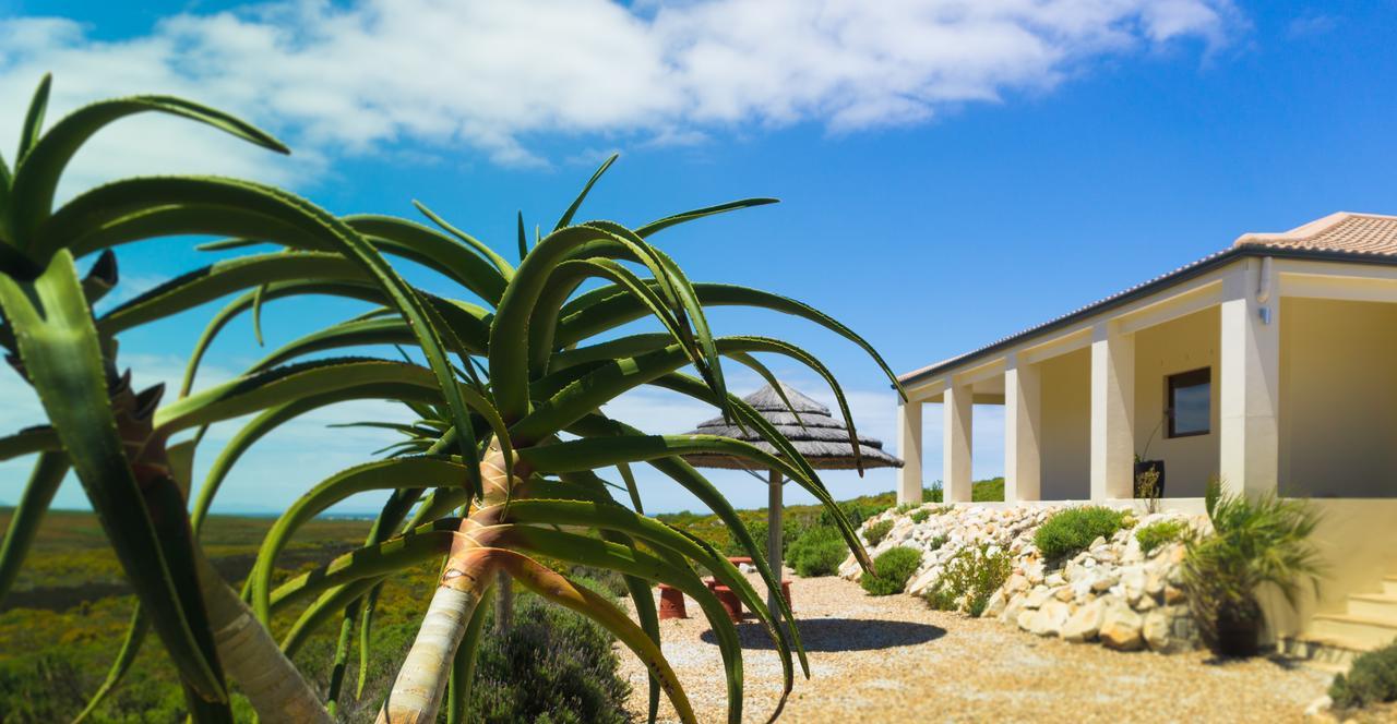 פרינגל ביי Kapensis Guesthouse מראה חיצוני תמונה